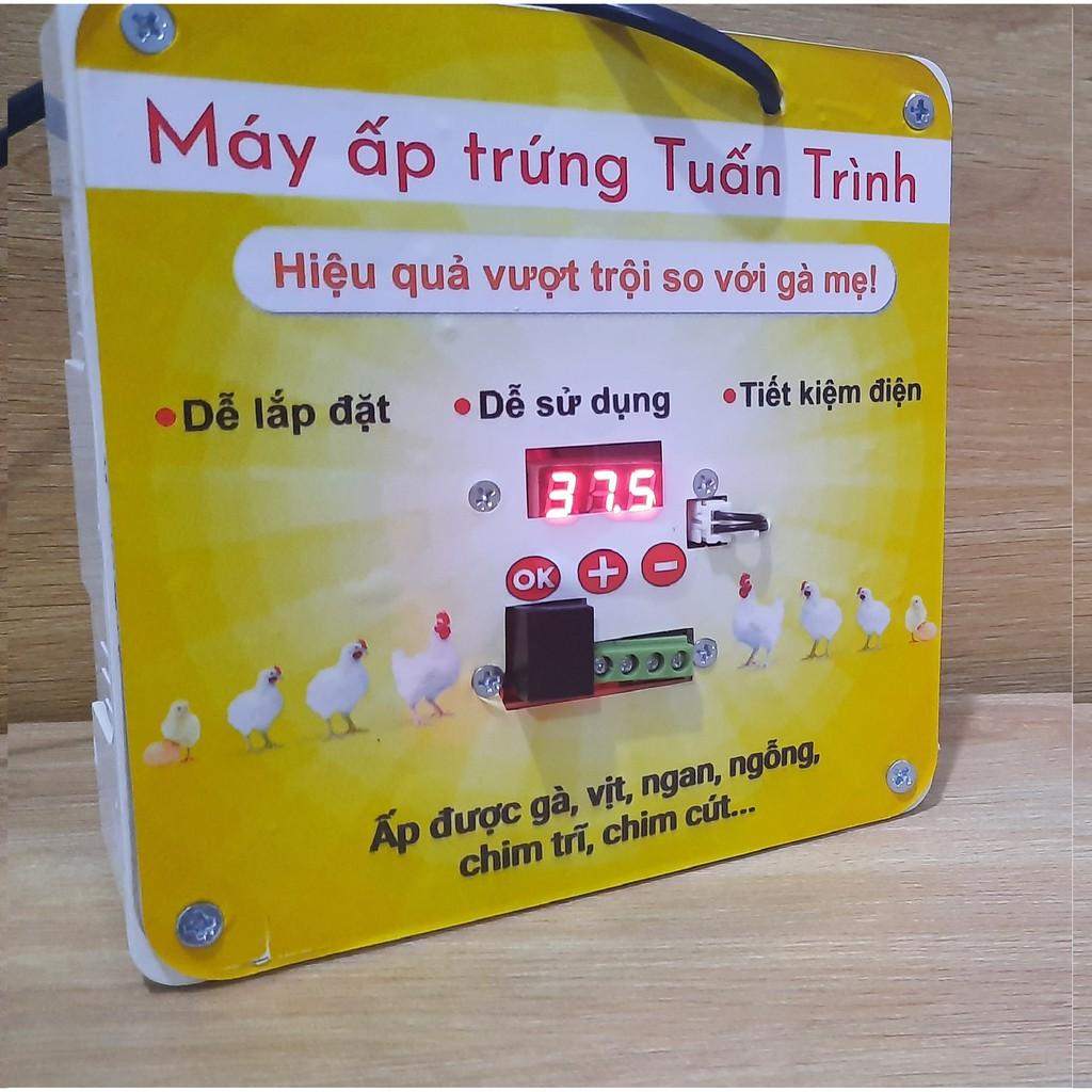 Máy ấp trứng Tuấn Trình