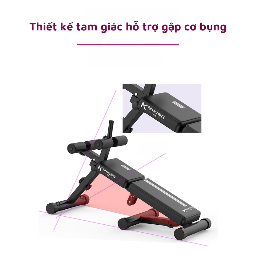 Ghế Tập Cơ Bụng Gấp Gọn, Ghế Tập Gym Đa Năng, Tập Bụng, Eo, Bắp Tay