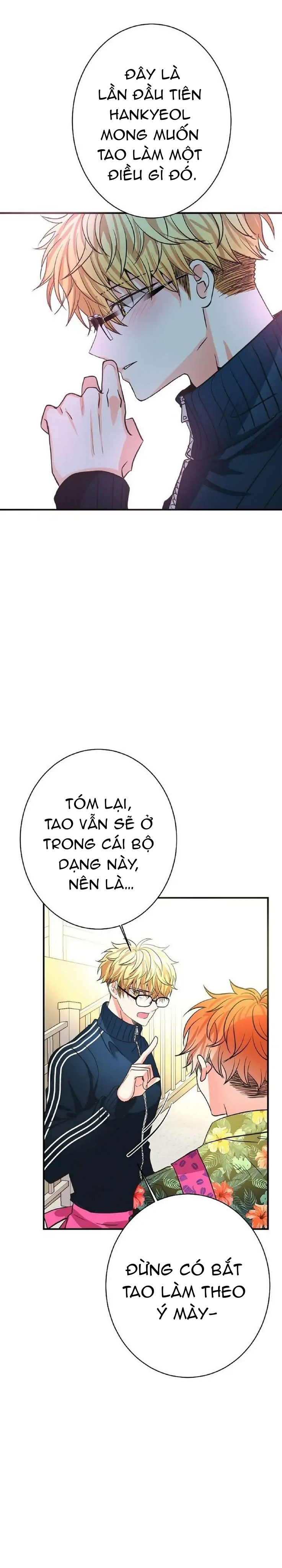 mối quan hệ phù hợp chapter 15 33