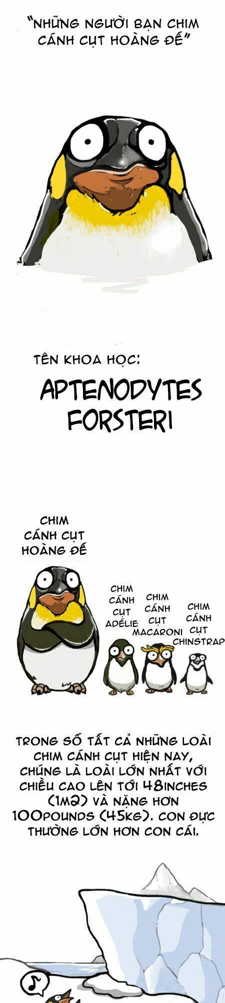 earth, human, and animal chapter 7 4