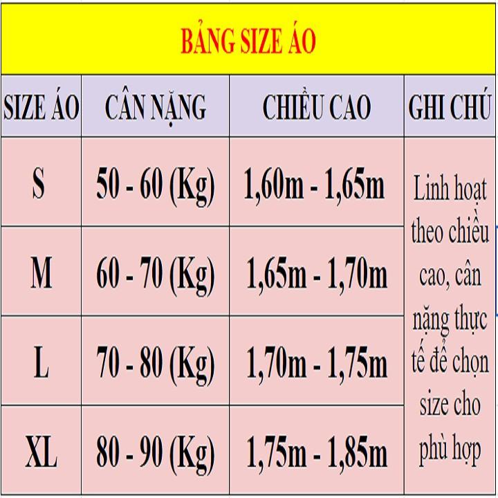 Áo Đá Banh Đẹp  TẶNG QUÀ  Áo Đấu CLB Hồ Chí Minh (HCM) Màu Đen PP bởi Be Happy Sport