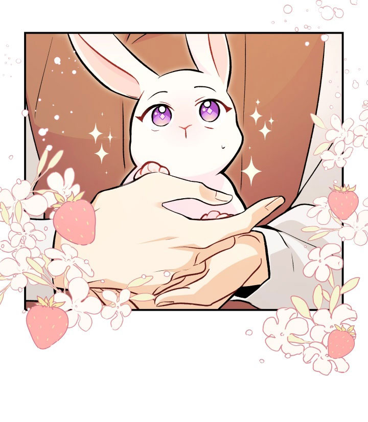 mối liên kết giữa báo đen và bé thỏ chapter 2 60