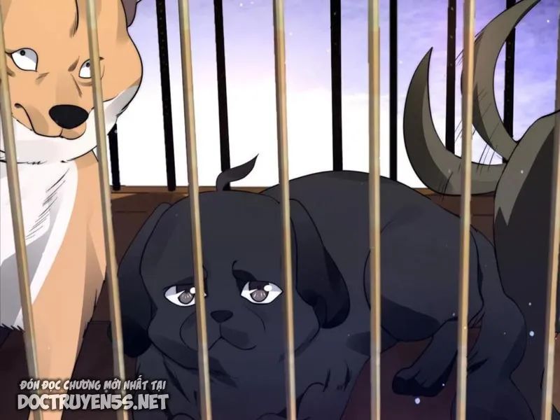 không gian hệ lão lục: dự trữ một vạn tấn thịt ngày tận thế chapter 2 13