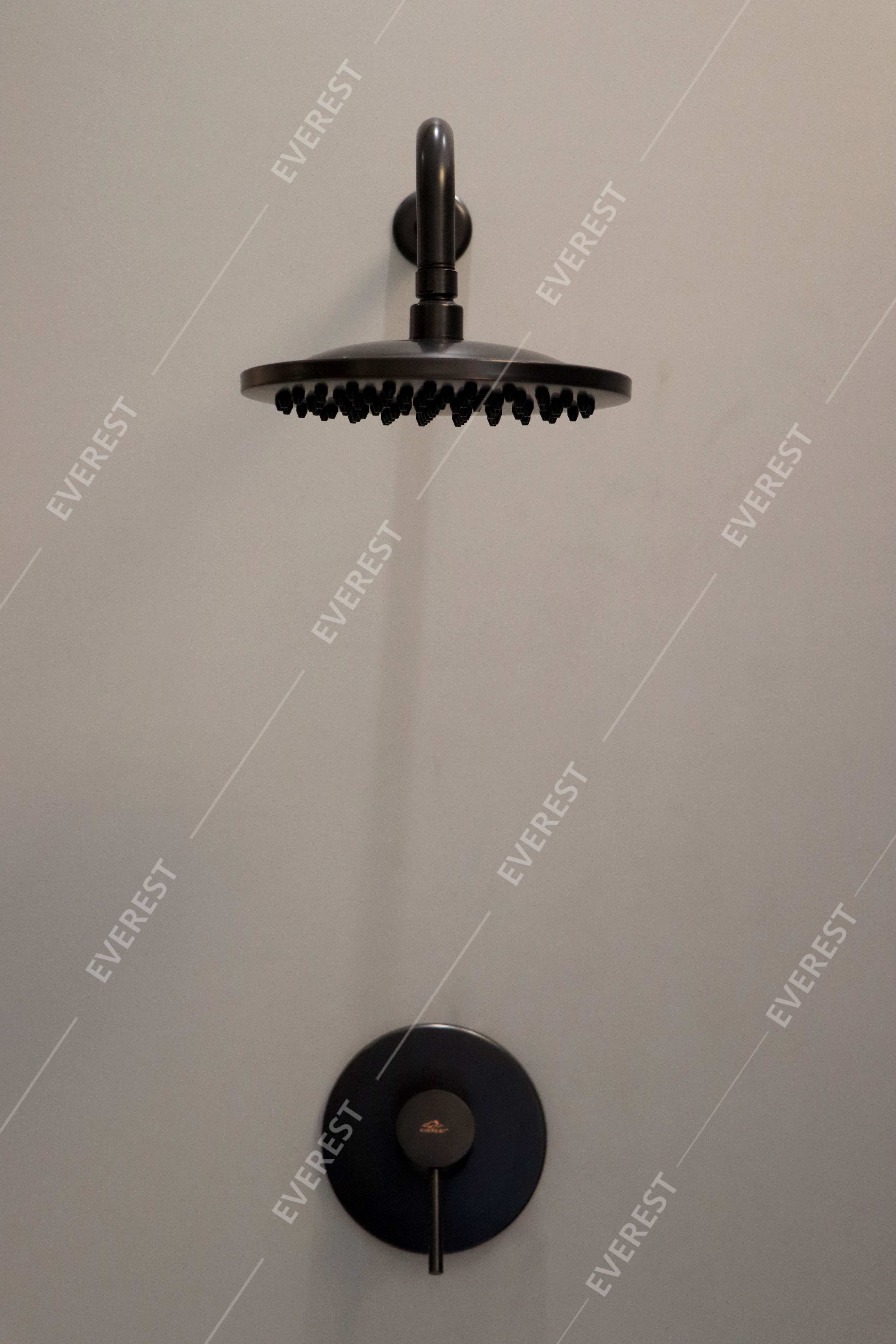 Sen tắm âm tường EVEREST EV-VĐ09