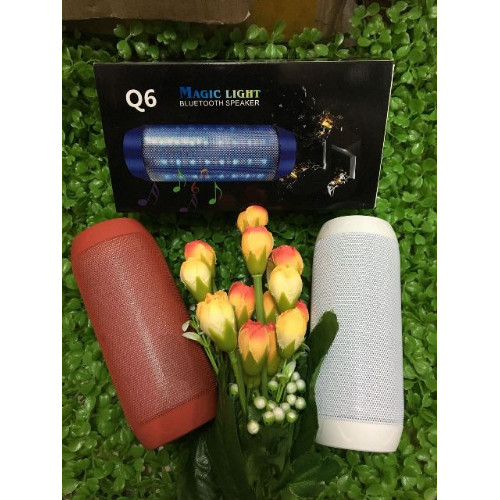 Loa Bluetool Q6 - Hàng Nhập Khẩu ( Giao Màu Ngẫu Nhiên )