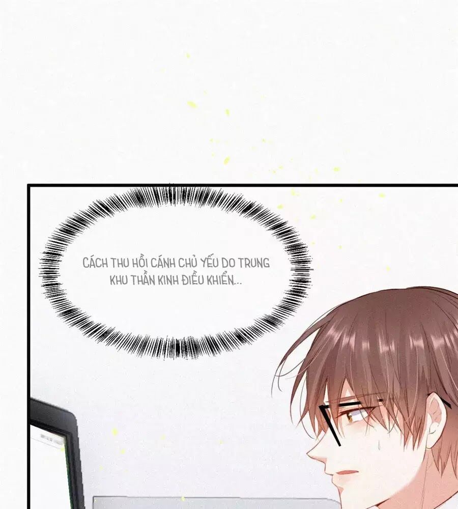 triều tây, in or out chapter 4 23