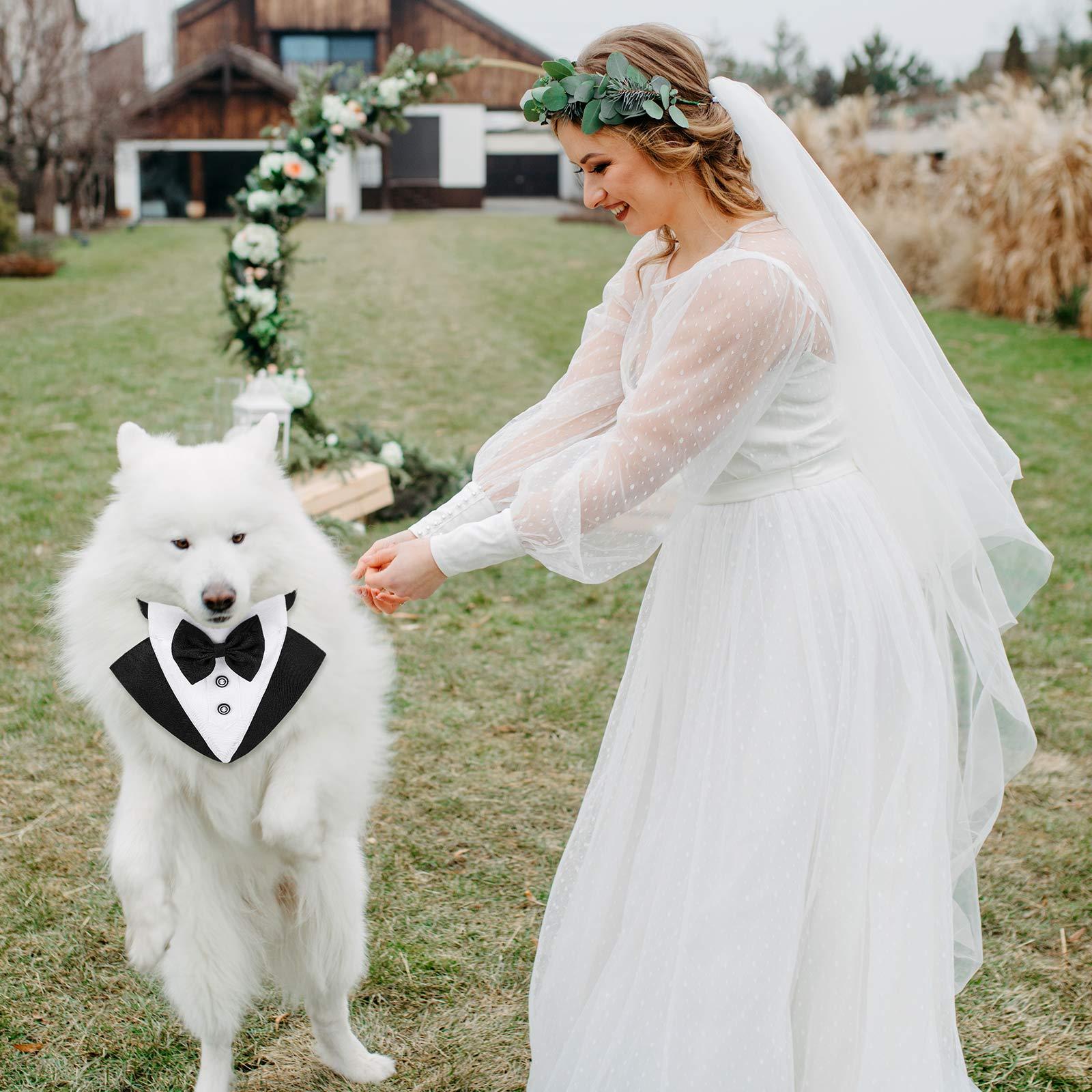 Chó chính thức hút thuốc Bandana Dog Wedding Bandana Dogs Cổ áo với thiết kế bay và cà vạt điều chỉnh cổ áo đen có thể điều chỉnh cổ áo chính thức của con chó bay.