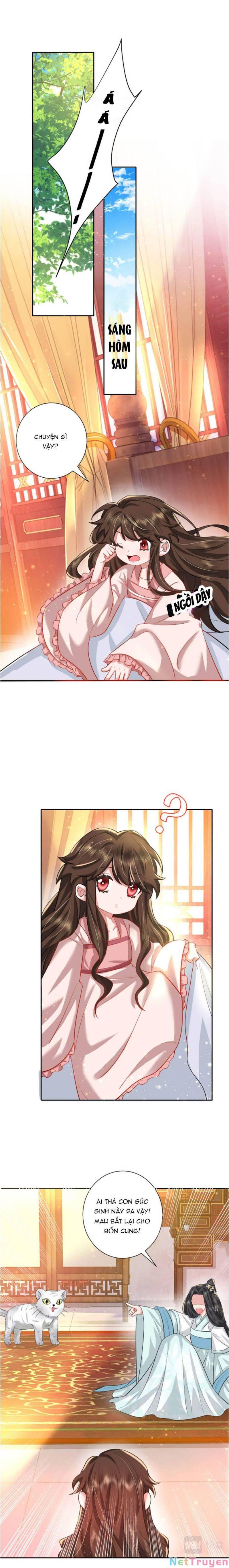 phương thức sinh tồn của công chúa pháo hôi chapter 40 3