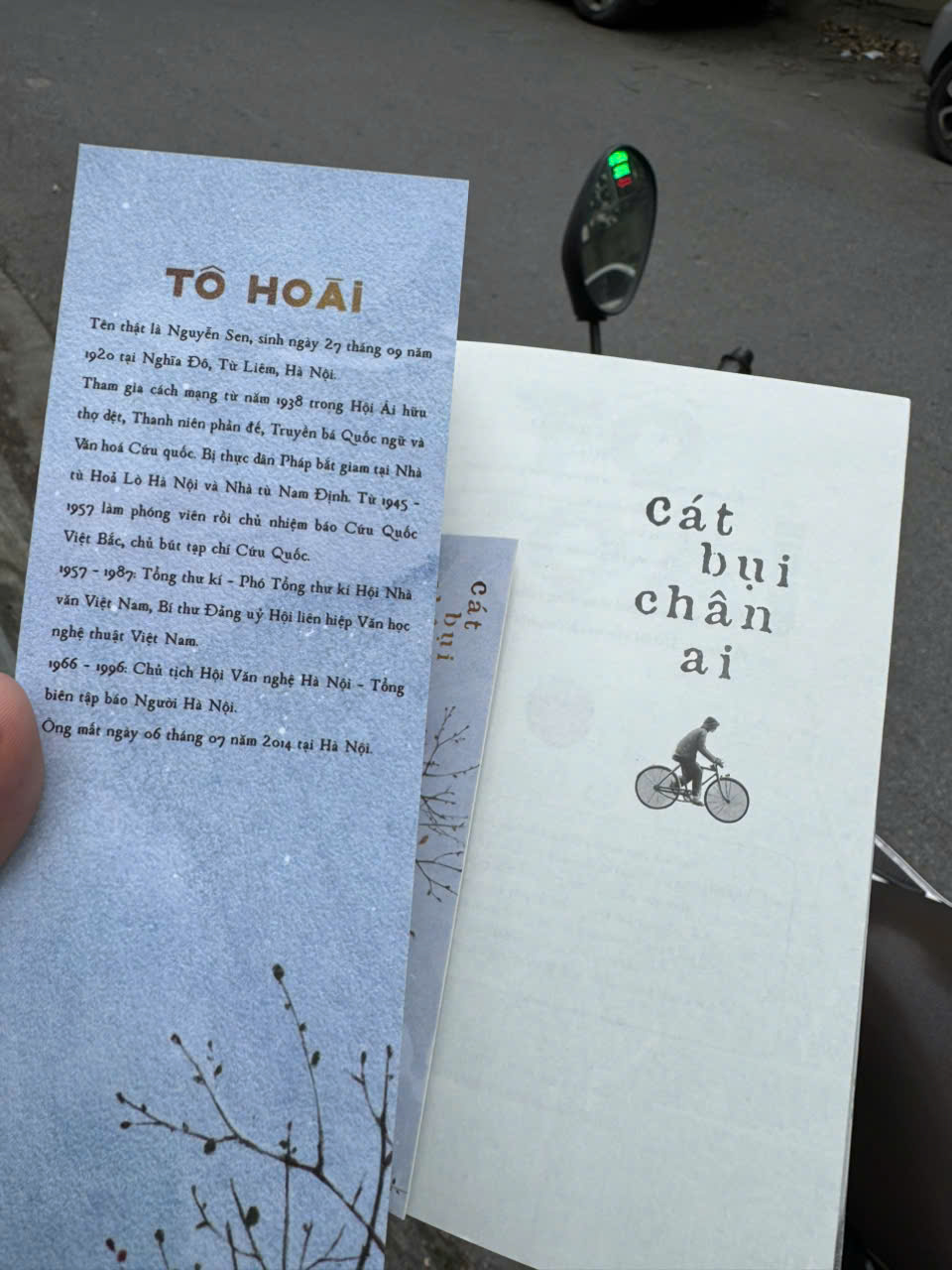 CÁT BỤI CHÂN AI - Tô Hoài - Thảo Nguyên