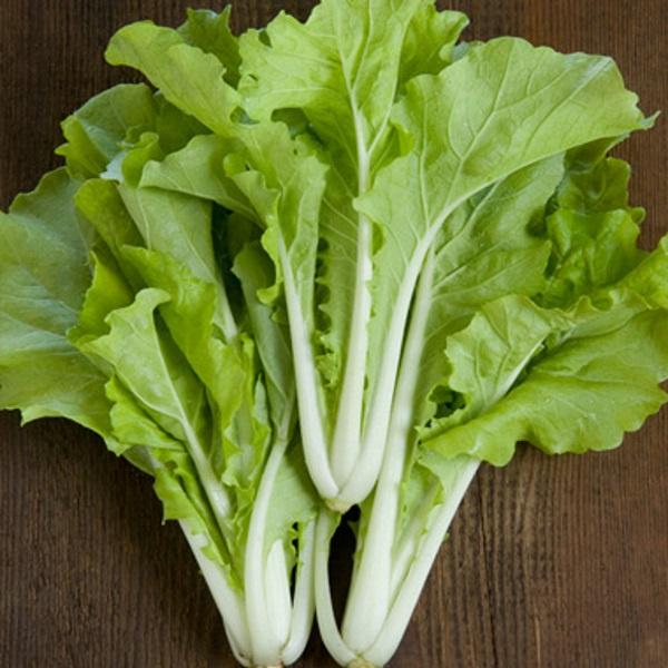 Hạt giống rau cải bẹ dún - Gói 1kg