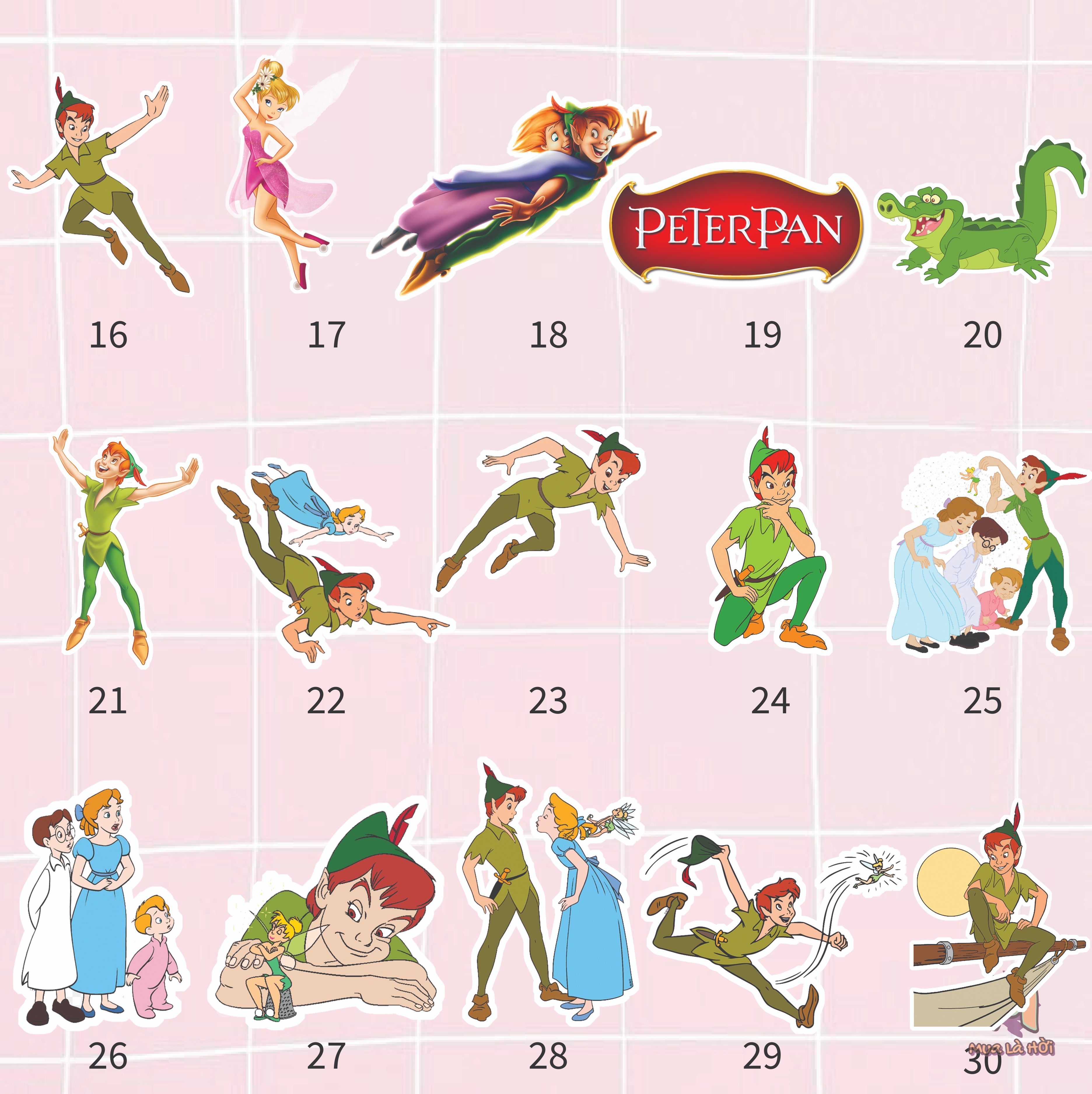 Túi Tote in hình chủ đề Peter Pan