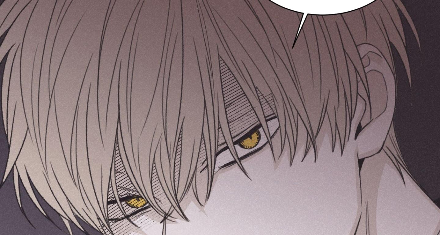 chiếu tướng chapter 75 162