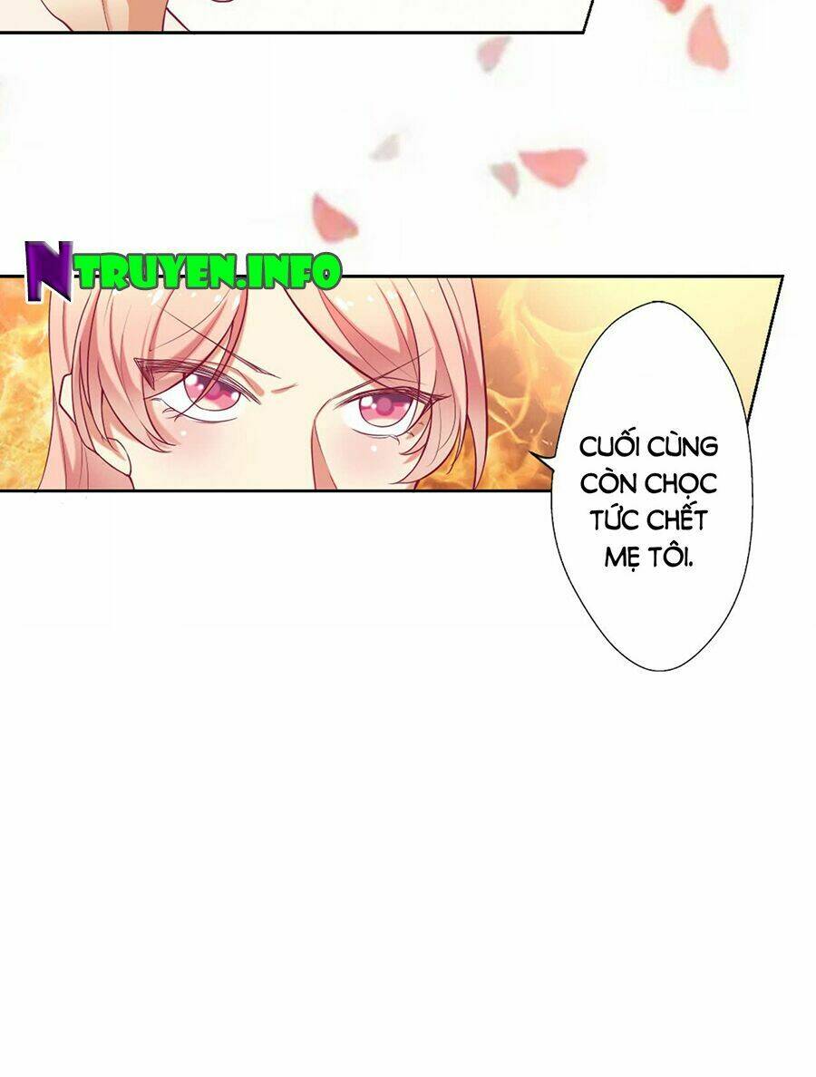 ngạo kiều tổng tài sủng điềm thê chapter 1 18