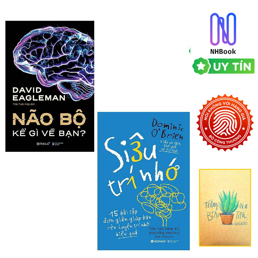 Combo Não Bộ Kể Gì Về Bạn Và Siêu Trí Nhớ