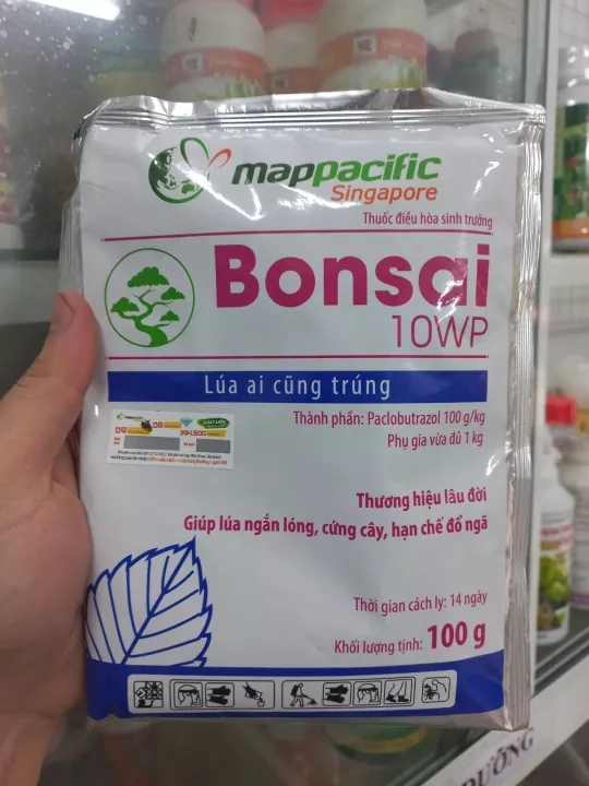 Thuốc điều hòa sinh trưởng Bonsai 10WP 100g
