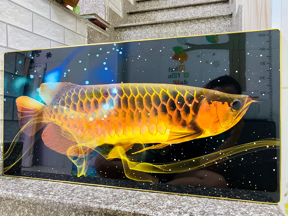 TRANH TRÁNG GƯƠNG - TRANH TREO TƯỜNG PHÒNG KHÁCH - TRANH PHÒNG NGỦ - TRANH TRÁNG GƯƠNG CÁ RỒNG PHONG THỦYTẶNG KÈM ĐINH 3 CHÂN)