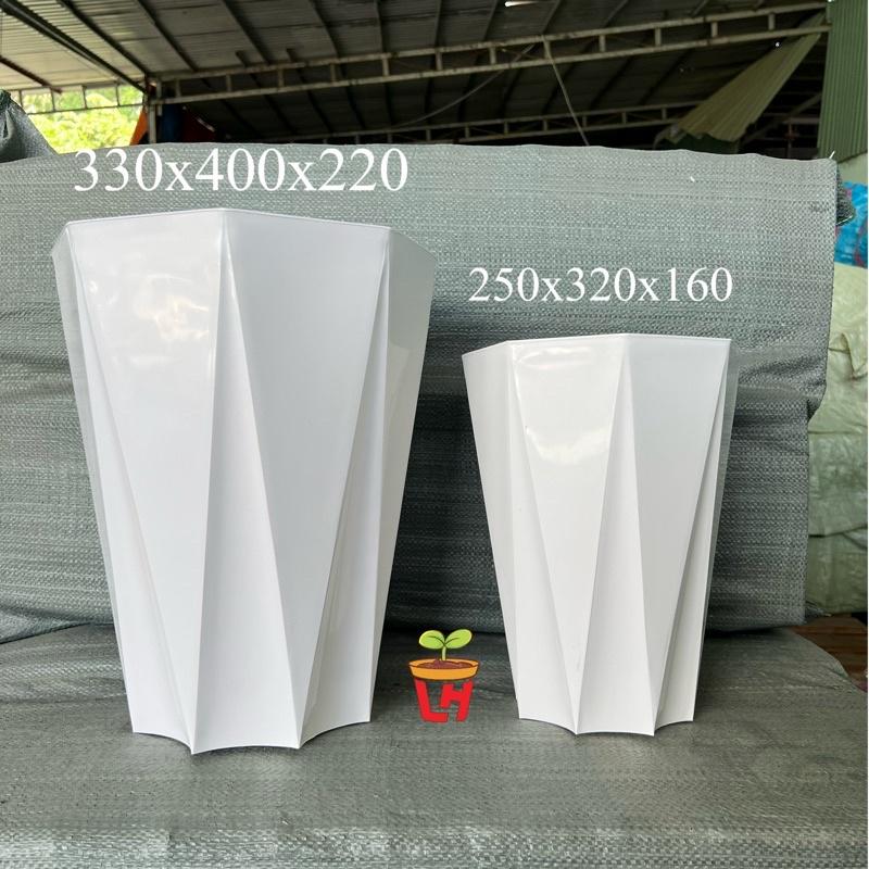 Chậu nhựa kim cương trắng câo cấp 8 cạnh, xịn dày size to