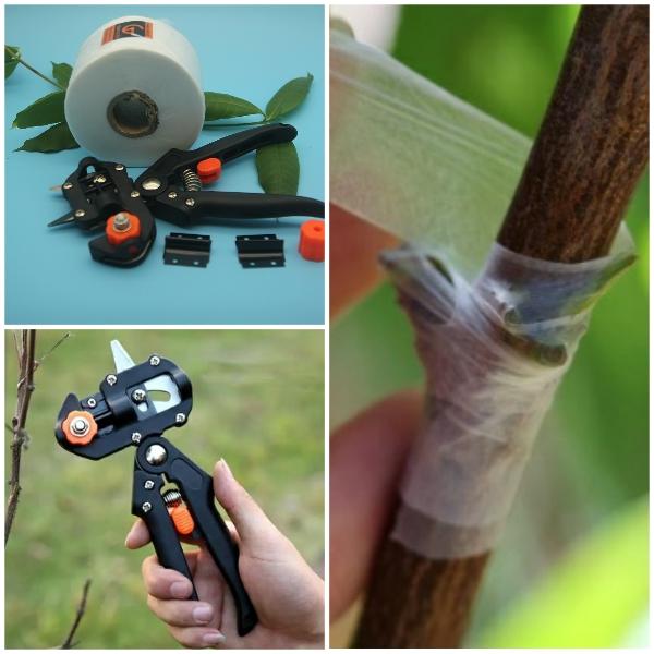 Bộ Kéo Ghép Cành Túi Dù Đa Năng Tiện Lợi Đài Loan 2 IN 1 và 1 cuộn giấy ghép khổ 5cm dài 10.000m