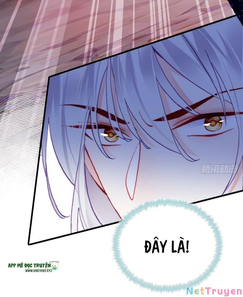 lại bị bệnh chiều chuộng quấn lấy chapter 81 13