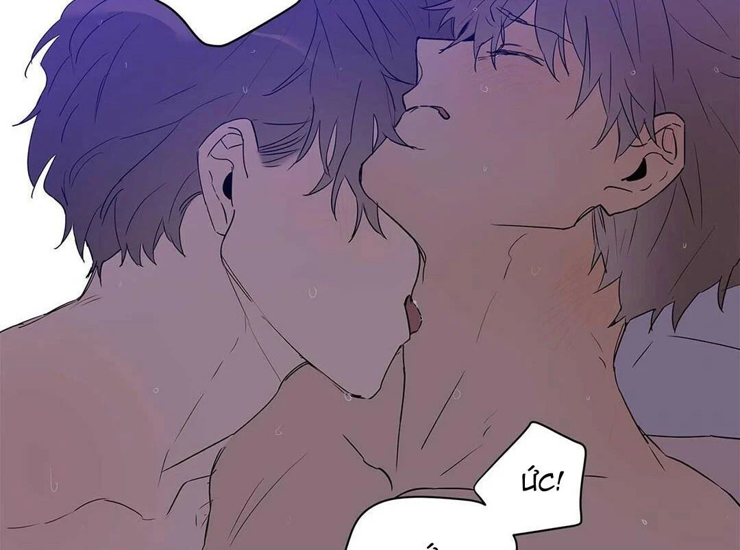 guide cấp b chapter 21 33