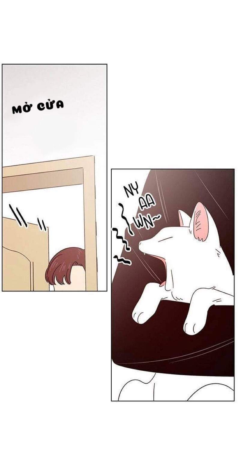 mùa hoa nở rộ chapter 8 24