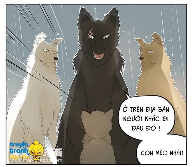 cứu mạng ! loài mèo thống trị thế giới rồi ! chapter 25 13