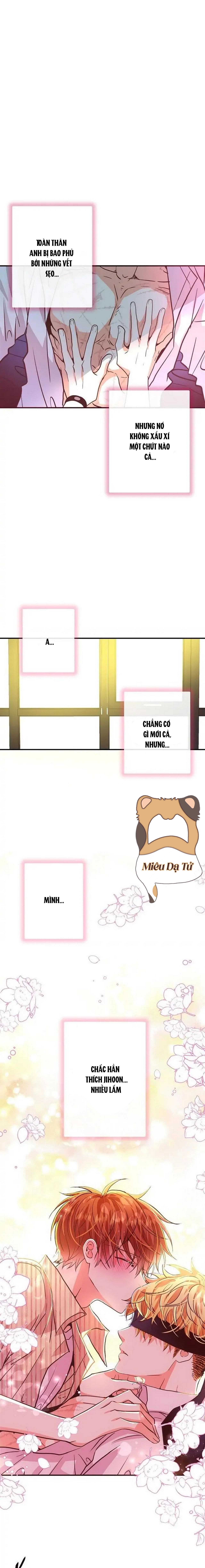 mối quan hệ phù hợp chapter 25 13