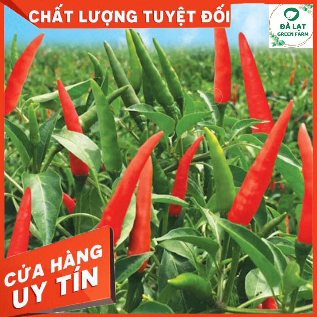 30H - HẠT GIỐNG ỚT HIỂM