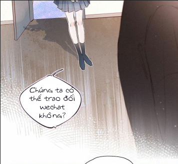 nỗi buồn của hoa cẩm tú cầu chapter 23 17