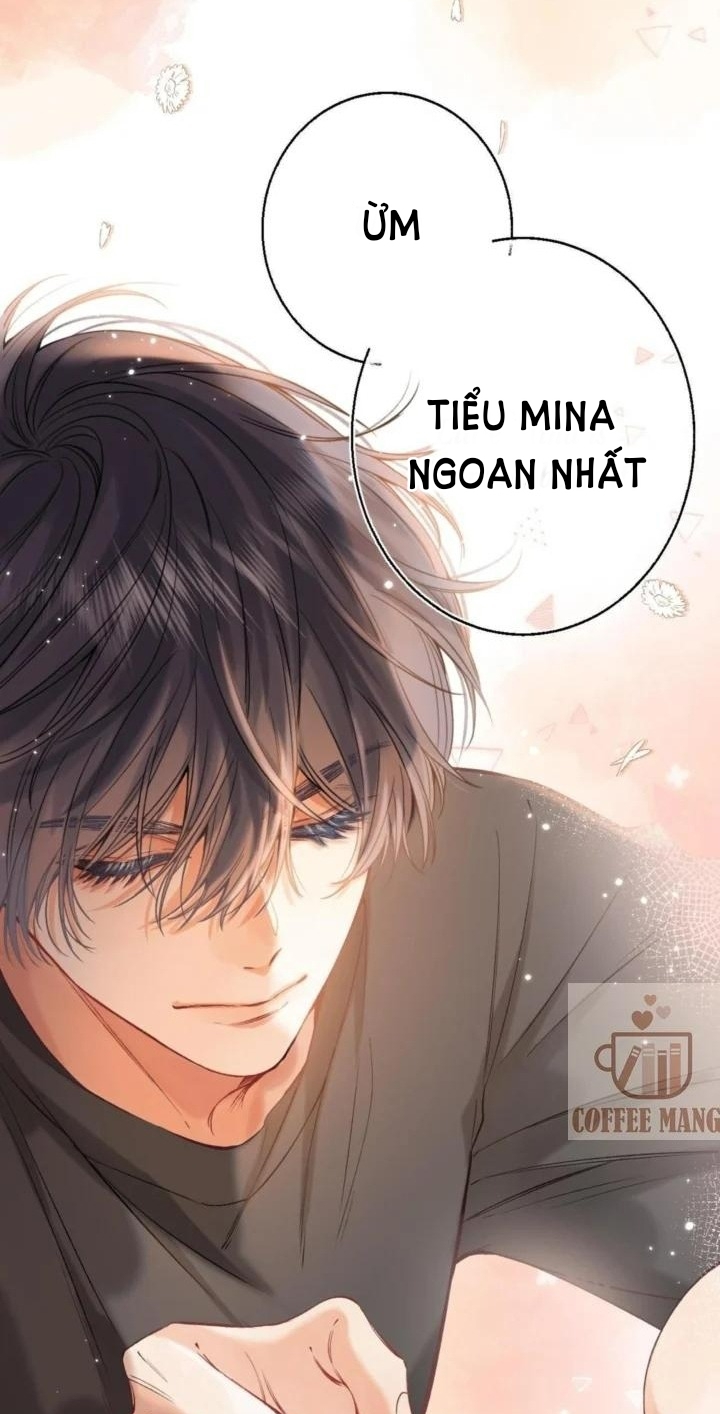 vụng trộm không thể giấu - mối tình thầm kín chapter 26 33