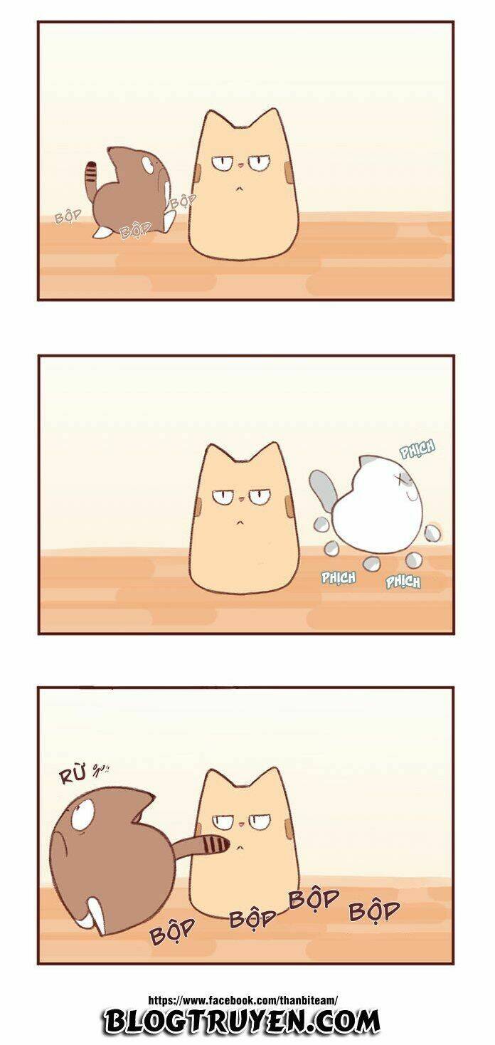 saphie: chú mèo một mắt chapter 2 5