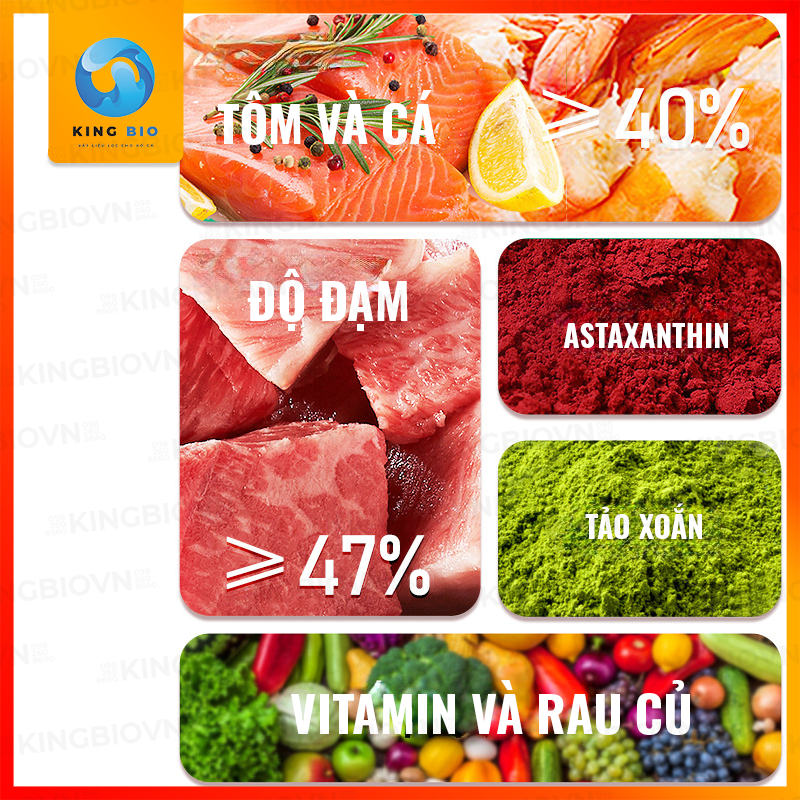 Cám FKSC Butterfly Carp - Thức ăn cho cá chép sư tử giúp tăng trọng, sáng màu và hỗ trợ tiêu hóa