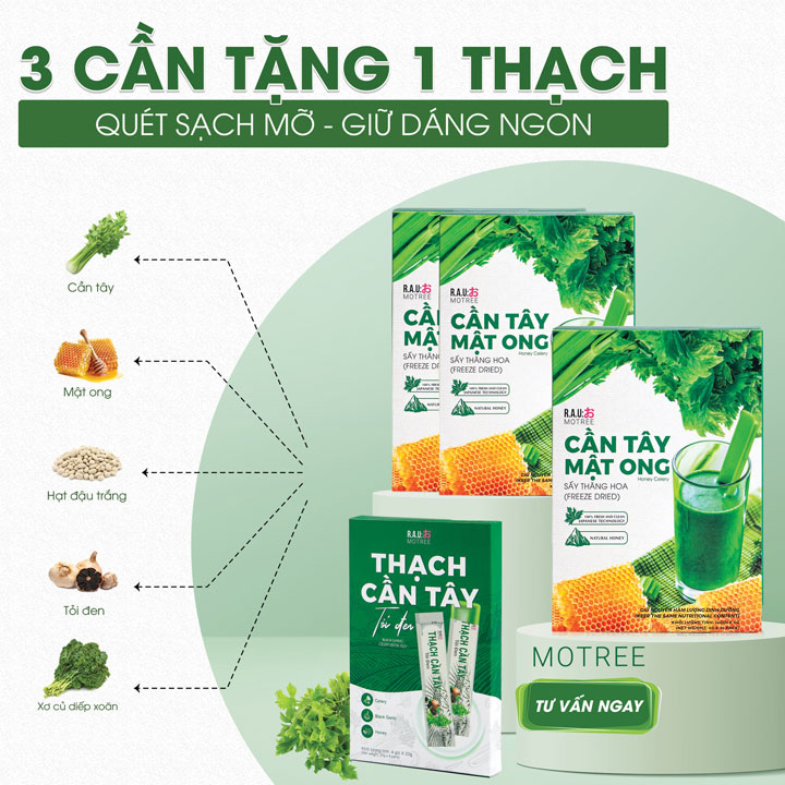 Combo 3 Hộp Cần Tây Mật Ong MOTREE Sấy Thăng Hoa Phiên Bản Song Ngữ (Mẫu Mới) - Tặng Kèm 1 Thạch Cần Tây Tỏi Đen Motree