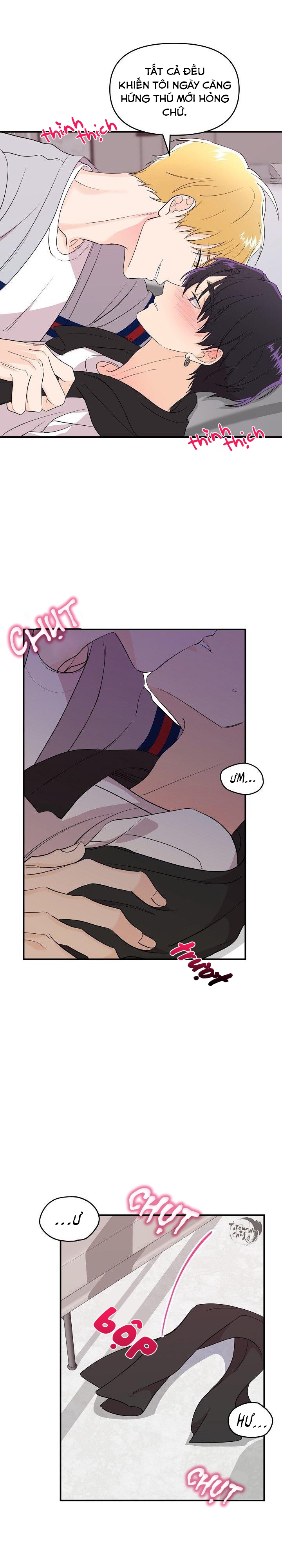 hoa ly hổ chapter 19 7