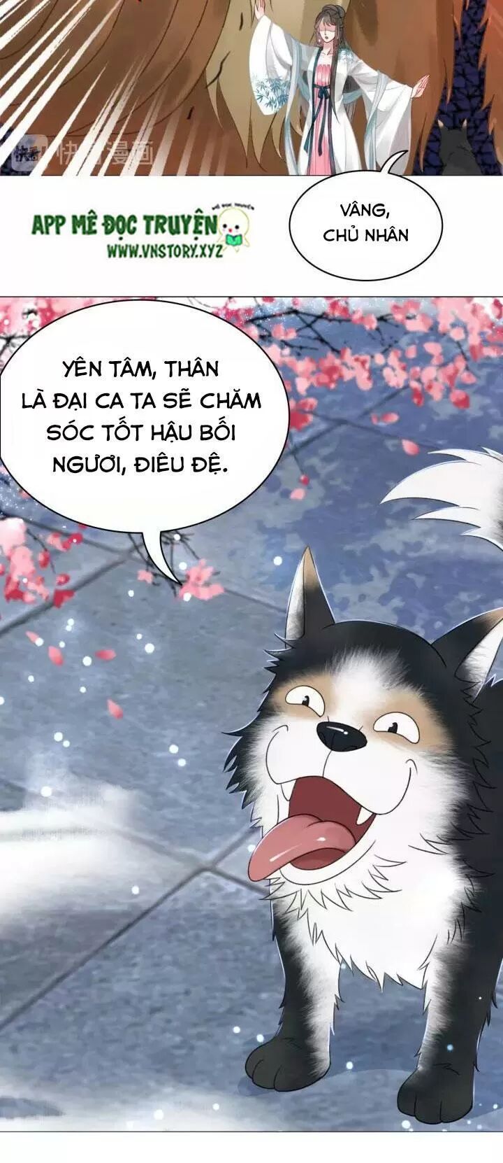 cực phẩm phế vật tiểu thư chapter 108 11