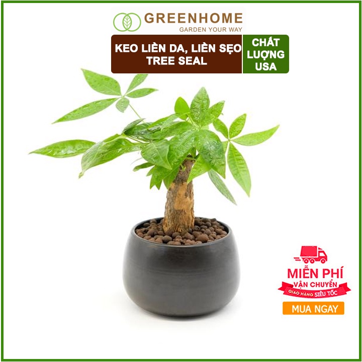 Keo liền sẹo cho cây Tree Seal, chai 100gr, hỗ trợ chiết cành, tạo dáng, bảo vệ vết cắt |Greenhome