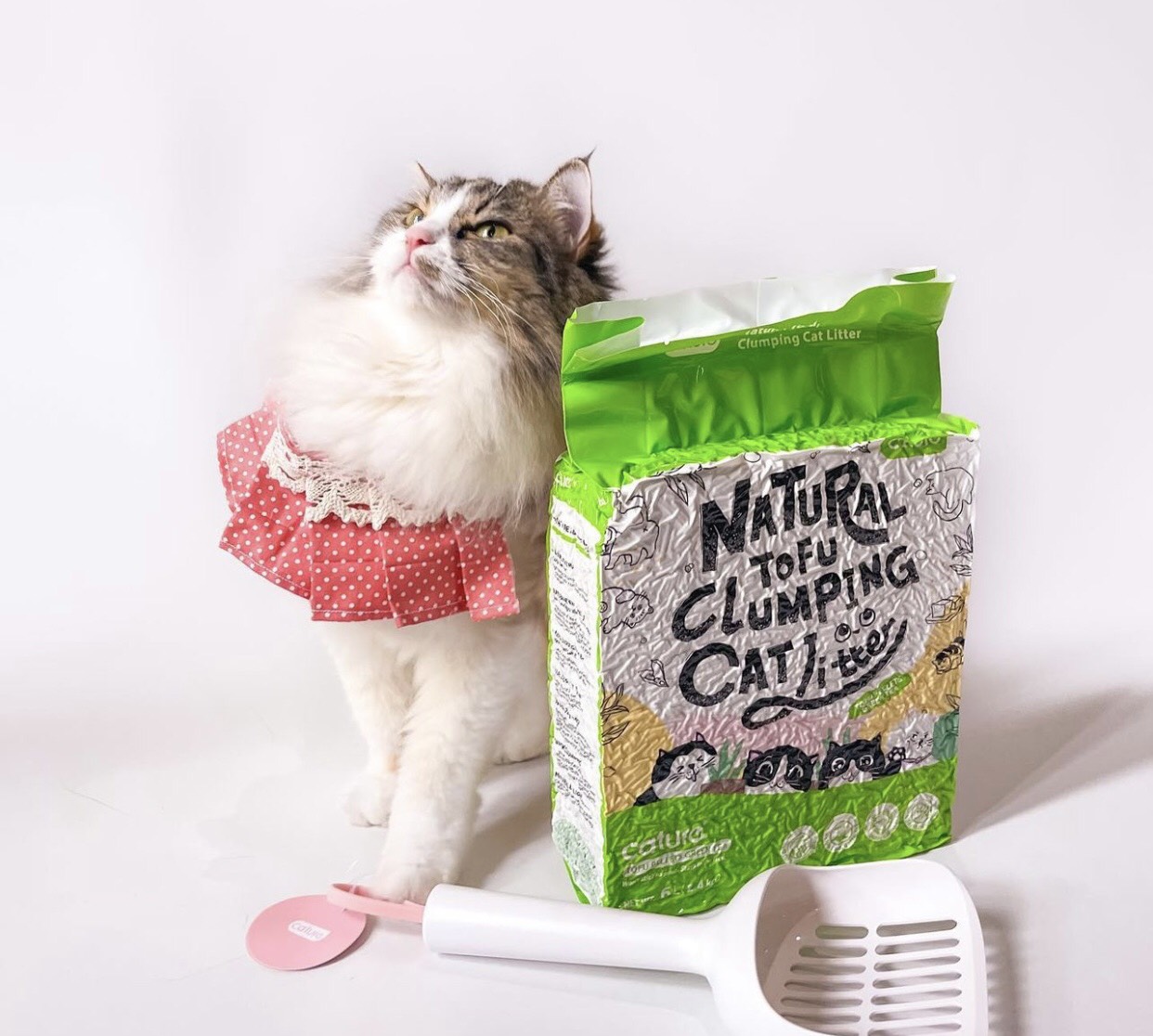 Cát đậu nành Cature Tofu 6L ( 2.4kg ) - Natural Tofu Clumping Cat Litter