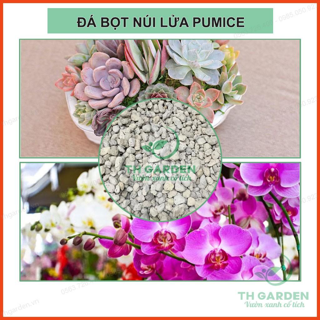 0.5kg Đá Bọt Trồng Lan Pumice TH Garden - Nhẹ Thoáng, Giữ Ẩm Tốt - Giá Thể Trồng Lan, Sen Đá, Cây Cảnh ...