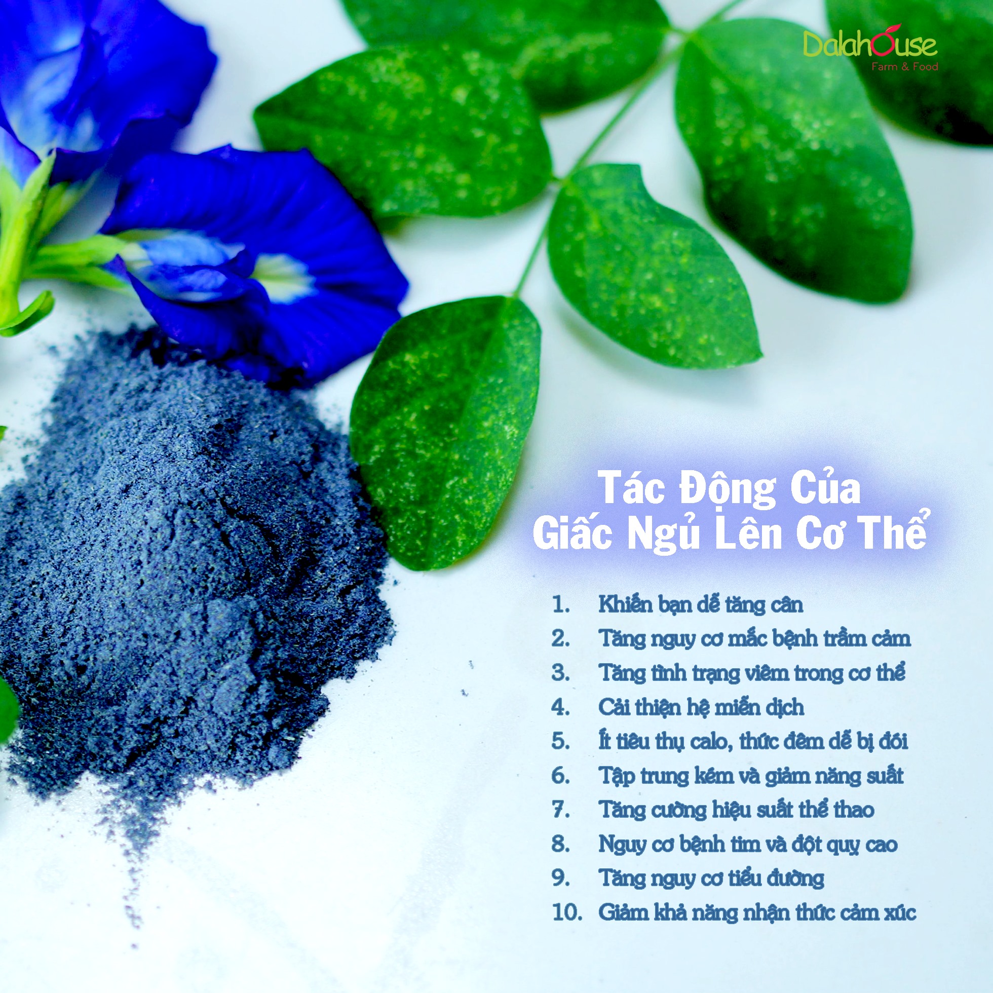 Bột Hoa Đậu Biếc hữu cơ sấy lạnh Dalahouse - 60g - Giảm căng thẳng mệt mỏi - Hỗ trợ chống ô xy hóa - Tốt cho mắt và giúp cho giấc ngủ sâu - Tạo màu sắc cho thực phẩm