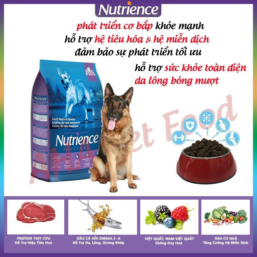 Thức Ăn Cho Chó Becgie Nutrience Infusion Bao 10kg Thịt Gà Tây Cá Hồi Rau Củ Trái Cây