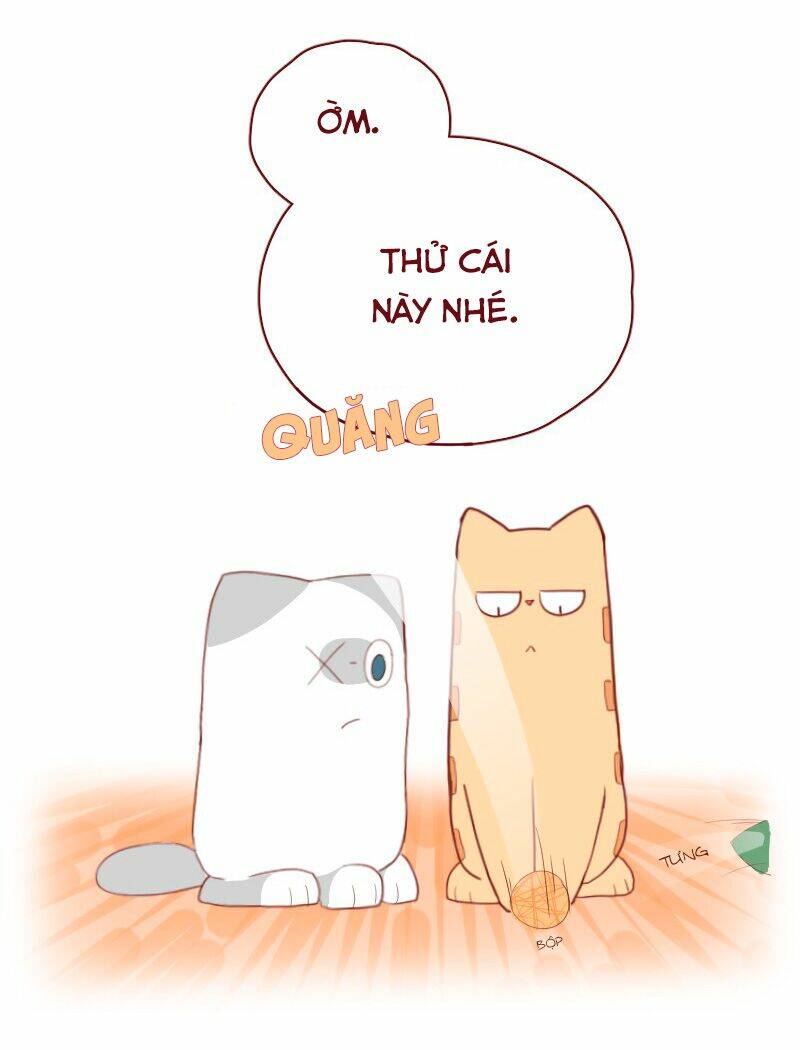 saphie: chú mèo một mắt chapter 5 8