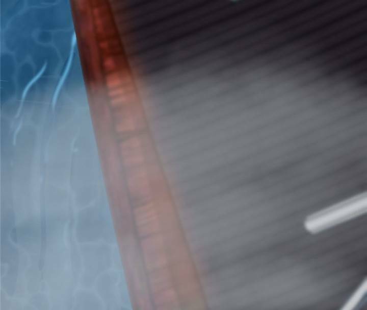 độc bộ thiên hạ: đặc công thần y chapter 144 25