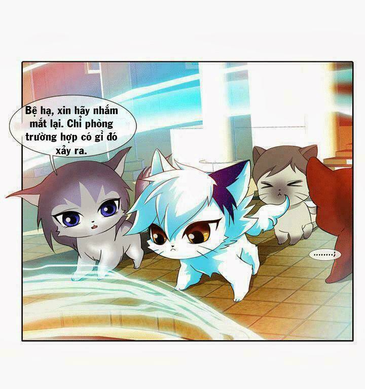 hoàng tử mèo đáng ghét chapter 1 5