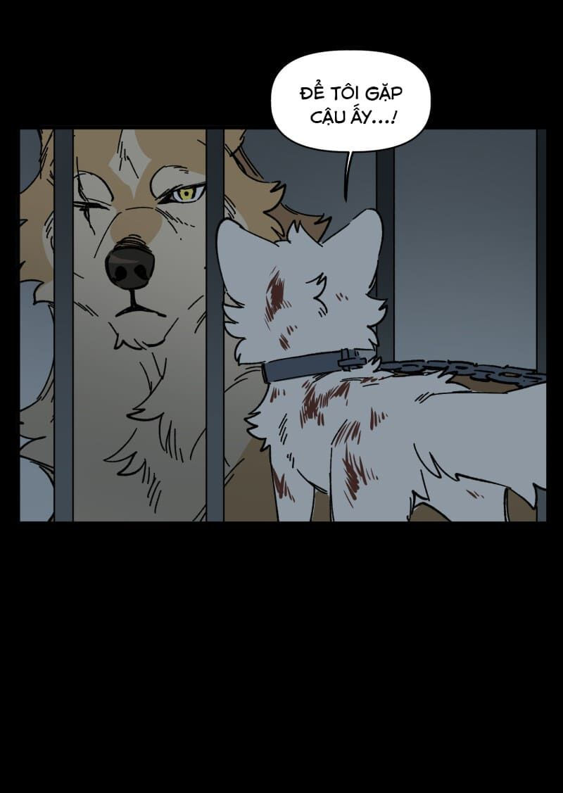 lumine - cội nguồn ánh sáng chapter 138 30