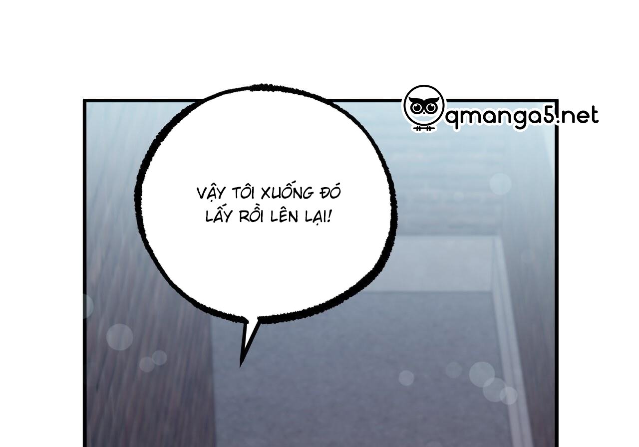 những chú thỏ của hapypy chapter 60 201