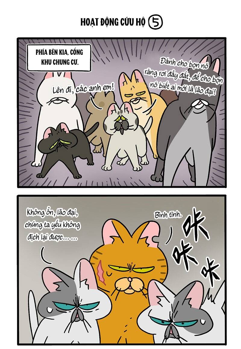 a mãn và mạch trà chapter 44.1 3