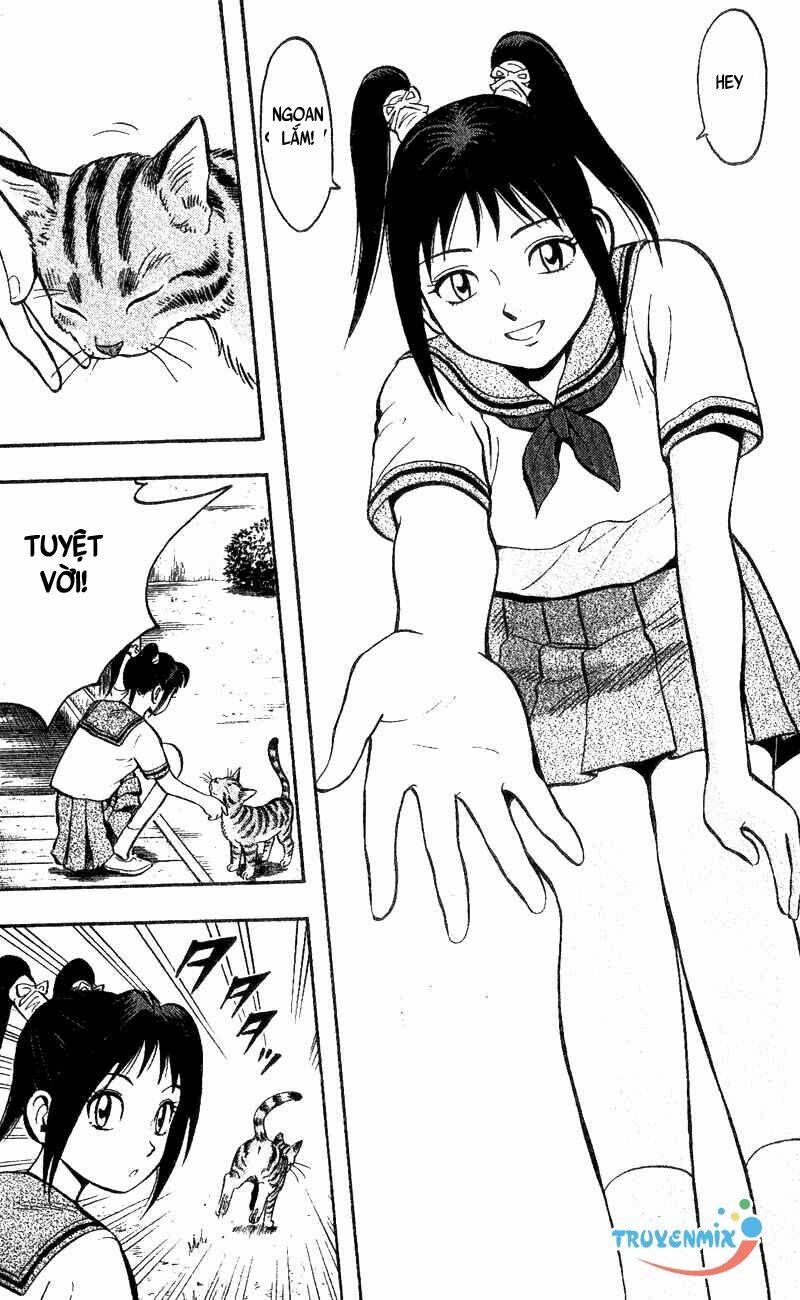 animal sense chapter 2 8