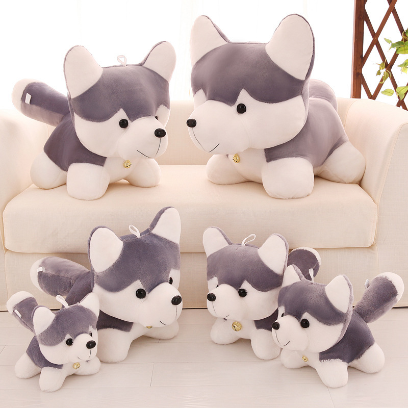 Gấu bông chó Husky đeo chuông dễ thương siêu mềm siêu cưng (20cm---&gt;50 cm) Gối ôm chó husky đáng yêu hàng xịn cao cấp an toàn cho trẻ nhỏ