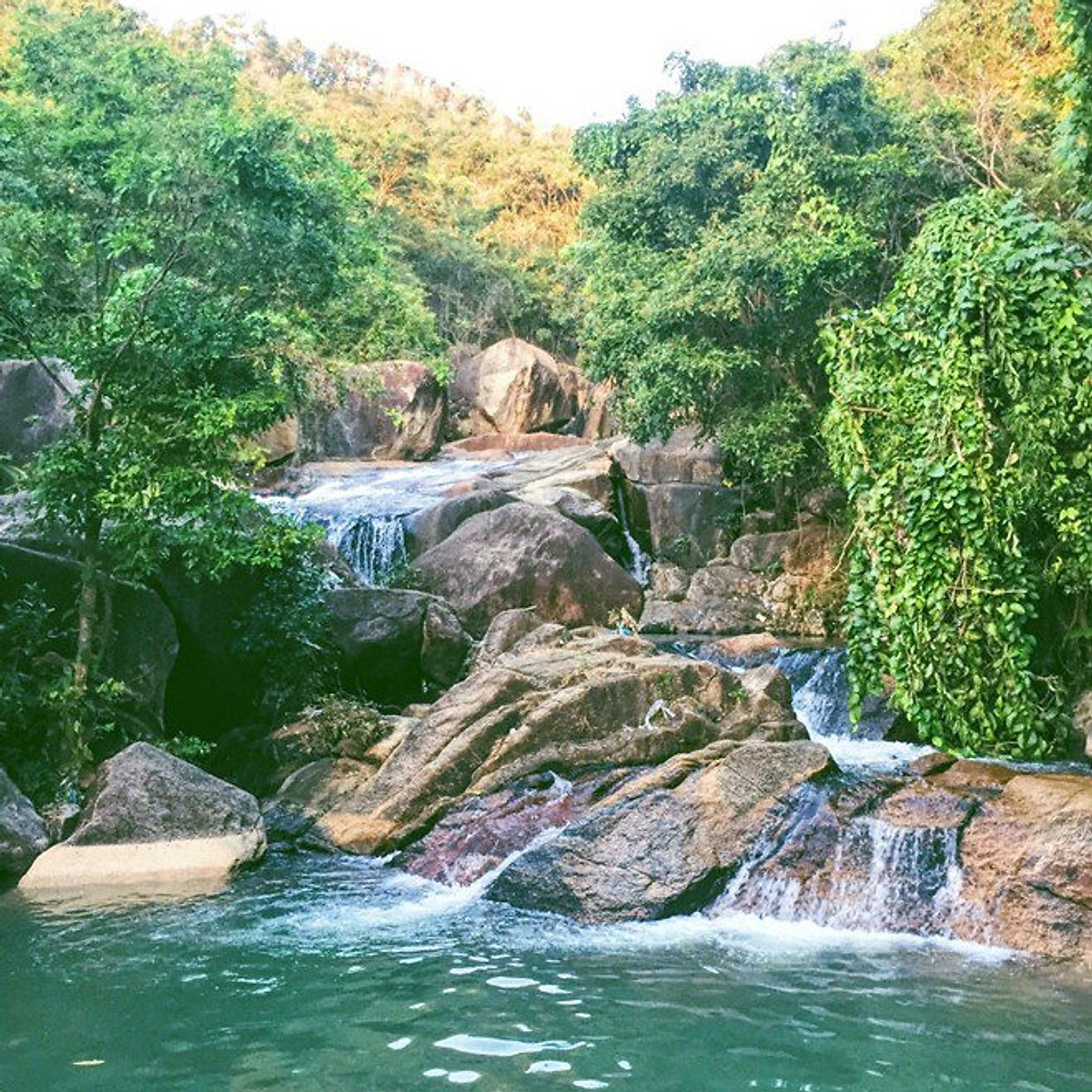 Tour Sài Gòn - Trekking Núi Dinh 01 Ngày, Khởi Hành Hàng Tuần