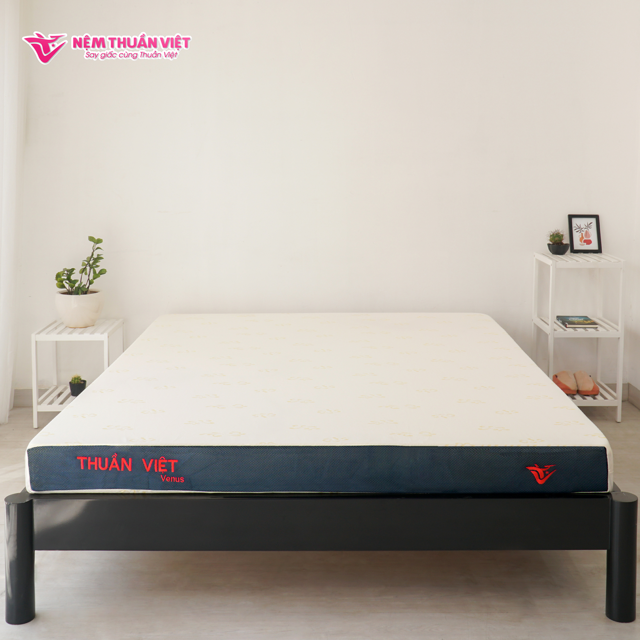 (1m8x2mx15cm) Nệm Foam Thuần Việt Venus - Nệm Ép Cuộn Thế Hệ Mới